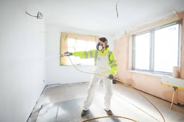 Mold Remediation for Vacation Homes in Smithers, WV